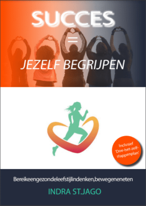 Succes = Jezelf begrijpen EBOOK